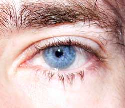 Profil de Tonio